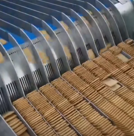 Factory Direct Food Machinery Shortening Biscuit Production Line Automatic Soft Biscuit Production Equipment