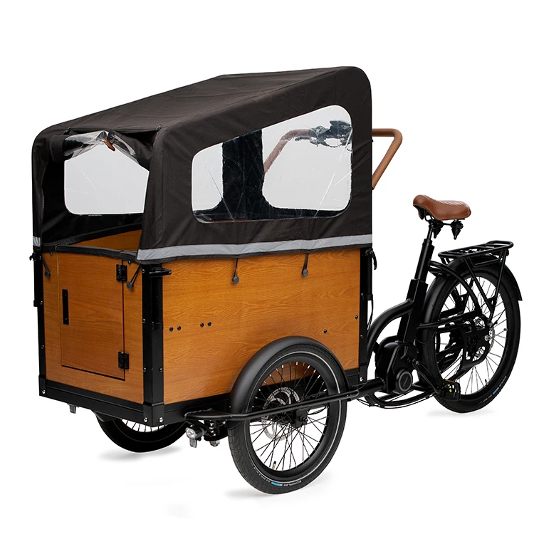 Luxury 48V 250W family electric cargo bike Nexus 7 speeds e bakfiets cargo bicycles bakfiets