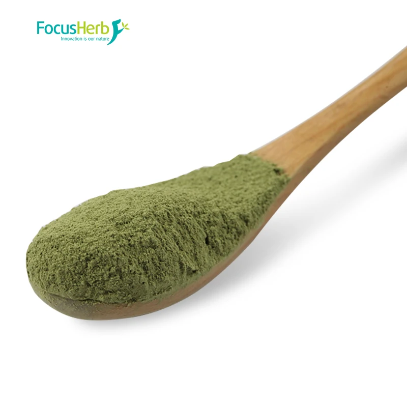 
FocusHerb NOP & EU Organic Matcha Green Tea Powder 