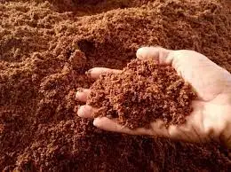 CHANGE OF LIFE FARMER BECOME BETTER THE BEST NURSERY SEED IS COCO PEAT COIR 100% AGANICS NATURAL FROM INDONESIA PERFECT CHOICE
