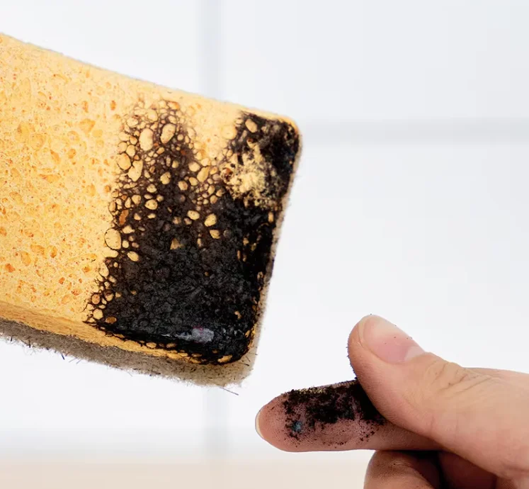 Natural Coconut Palm Wood Pulp Cotton Composite Sponge Environmentally Friendly Biodegradable