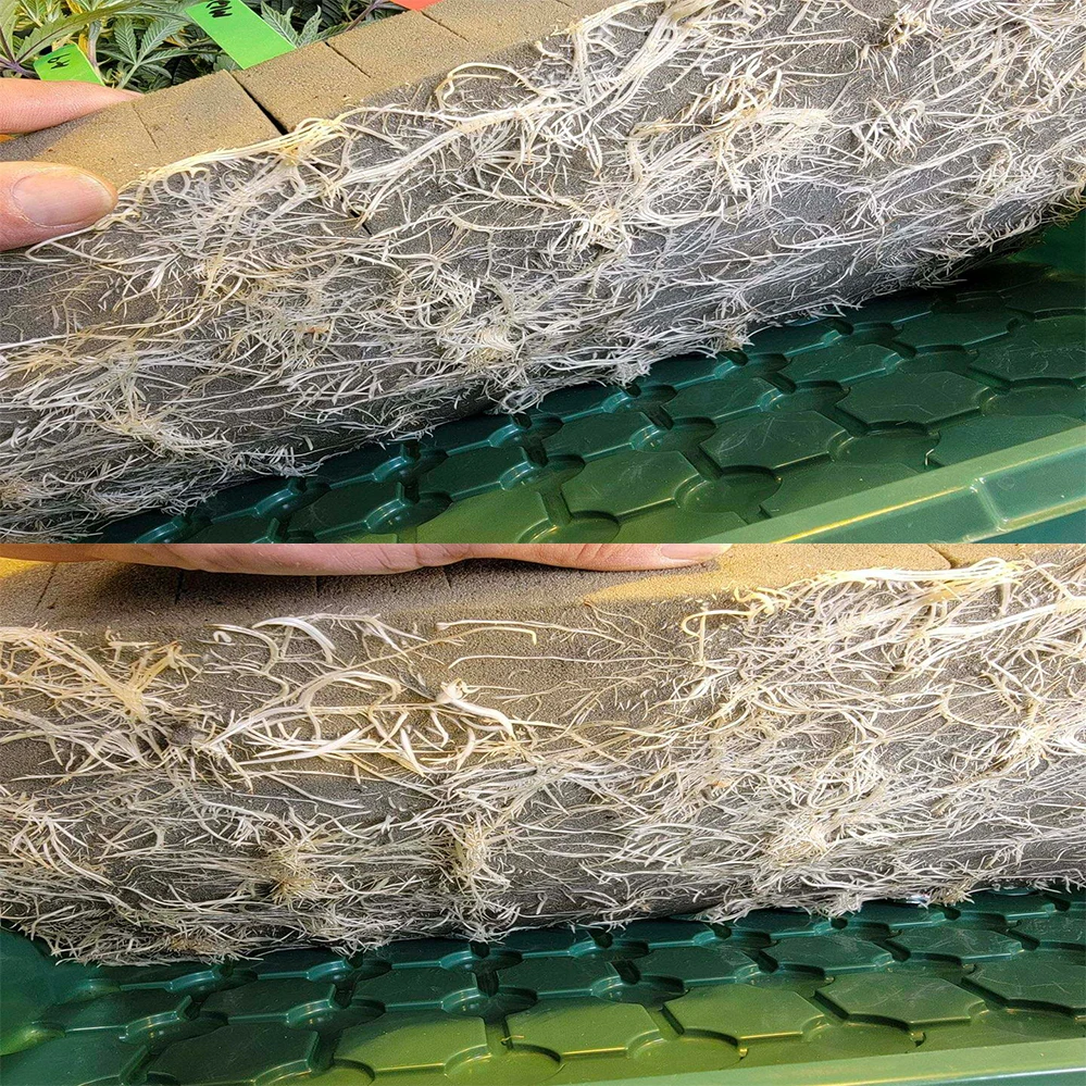 Hidroponic Foam Grow Cubes Starting Plant Substrate For Plants Seeds Vegetables