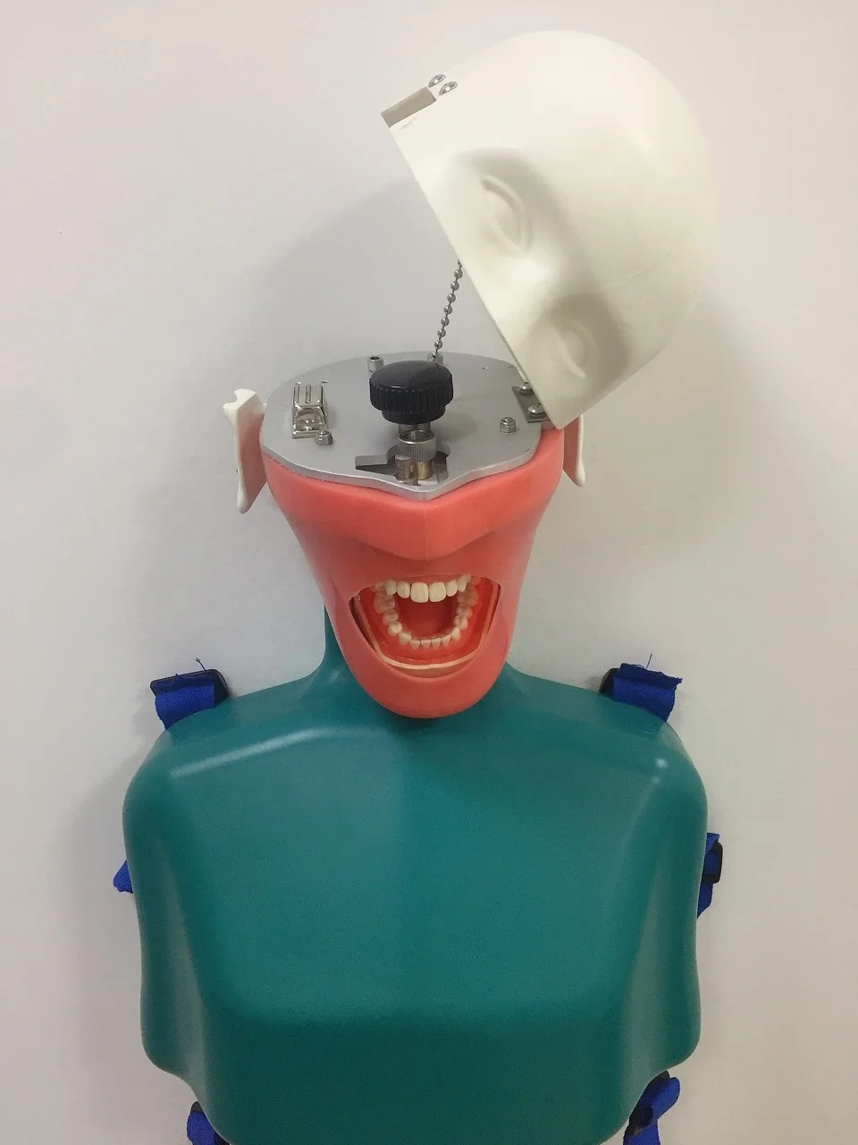 Dental Equipment Lab Educational Supplies Dummy Manikin Phantom Head with Typodont teeth model for Practice
