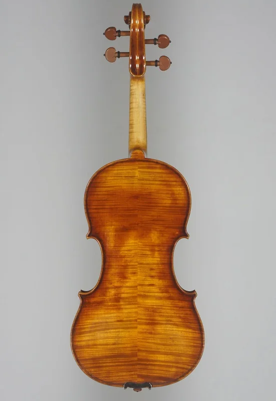  violin 905 (2).jpg