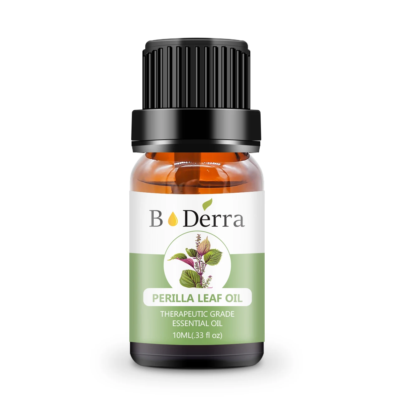 Wholesale perilla leaf essential oil with best price