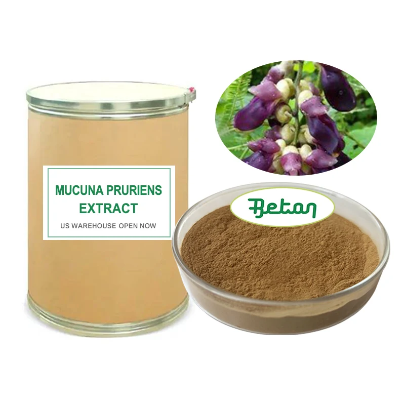 Поставка от производителей экстракт бархатной фасоли Mucuna puriens порошок объемный