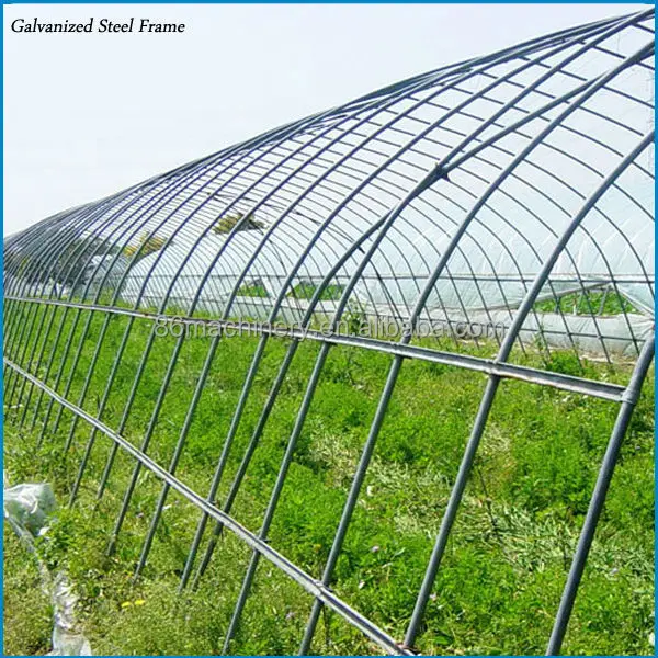 
Недорогая теплица с защитой от лягушек, теплица с клубничным домом, Россия 