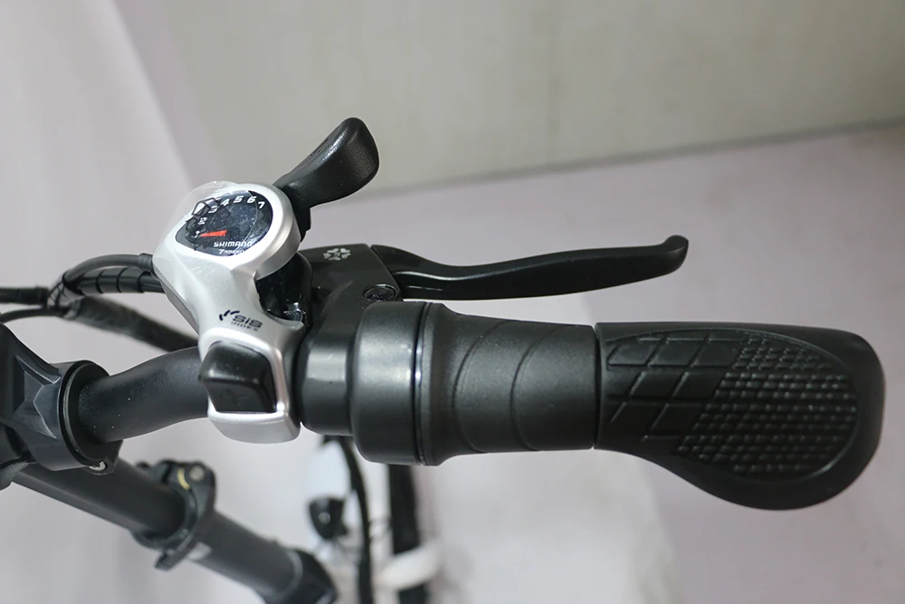 New Arrival Electric Bicycle Mini Folding E Bike Snow Bike Fat Tire 350W Brushless Motor