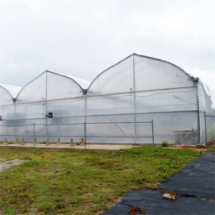 Low Cost Hydroponic Growing Systems Greenhouse Agriculture