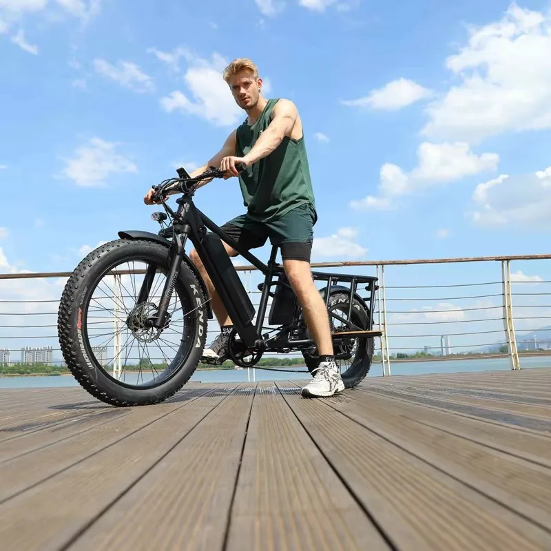 Cheap Electric Bicycle 45Km/H Electric City Bike High Quality 7 Speed Electric Fat Tire Bike Dual Motor Cargo Bike