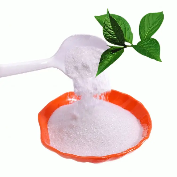 Nautral Green Tea Extract 30% L-Theanine Camellia sinensis extract