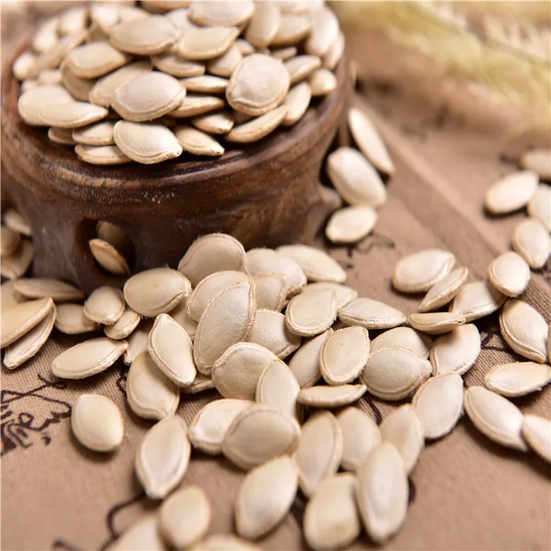 lady nail pumpkin seeds pumpkin seed gws