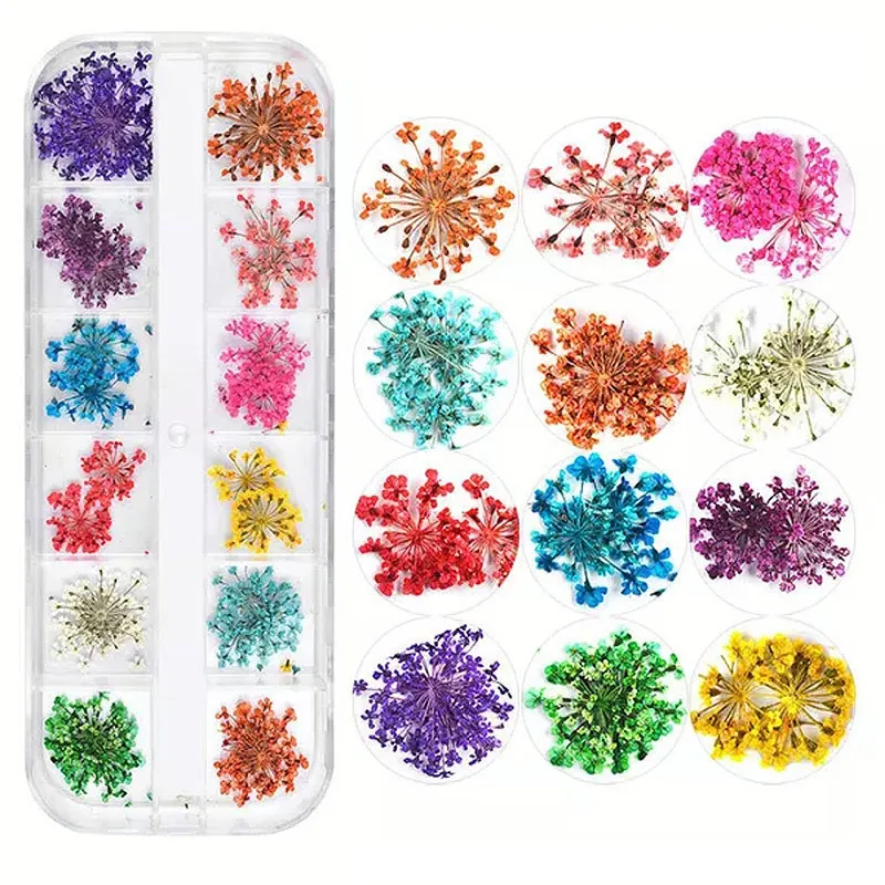 High Quality Various Combination Packages Natural Dried Flowers Pressed Flowers for Dried Flowers Nail Art