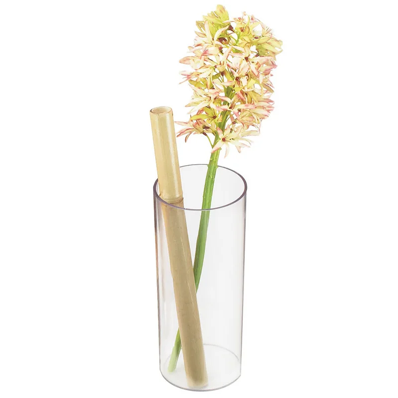 Gasser Wholesale Modern Unique Trendy Room Decor Minimalist Vase Funky Colorful Clear Acrylic Flower Vase For Home Office