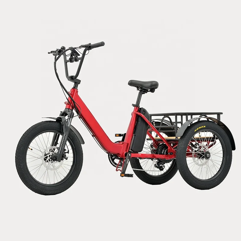 3 Wheel Rear Motor Electric Trike 250W without battery