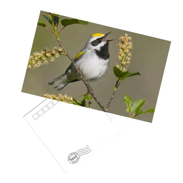 Individuality custom-made Travel gifts 3d postcard postcard book cardboard