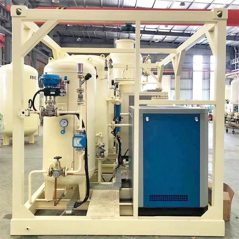 Hot Sale PSA Nitrogen Generator With Best Price CE Approval Purity 9999 Pharmaceutical Nitrogen Generator