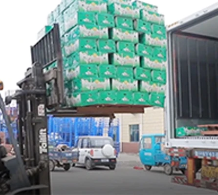 Продажа Тунис красного цвета чеснока 55 мм плотность 10кг коробка (кроп 2022) Ail-поставка 20
