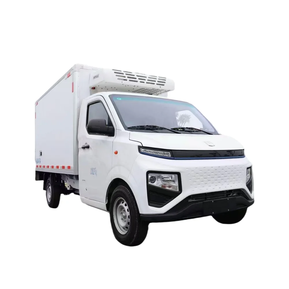 New Energy Truck Van Refrigerated Truck Used Vehicles Electric Car Reefer Freezer Cold Box Truck For Sale