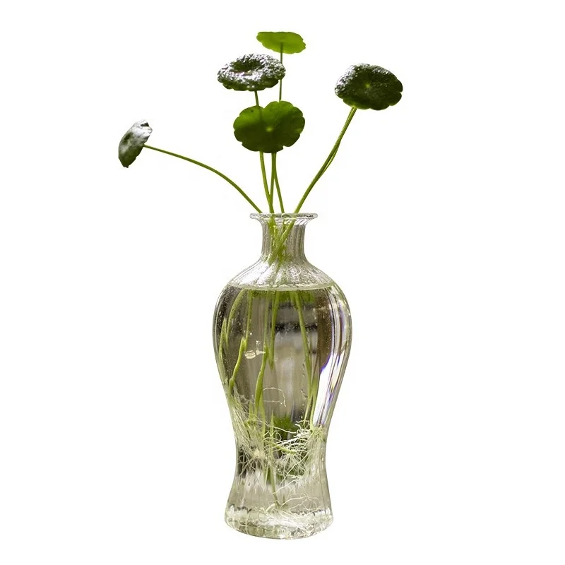 Glass Small Vase Transparent Flower Arrangement Aquaculture Hydroponics Small Mouth Flower Apparatus Guanyin jade jing bottle