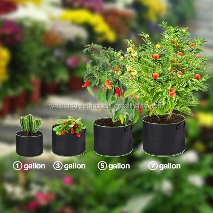 3/5/10/15/20/25/30 Planter Grow Bag Tree Seeding Pot Fruit Fabric Plant Pots Flower Pot 100 Gallon Grow Bags for Planting