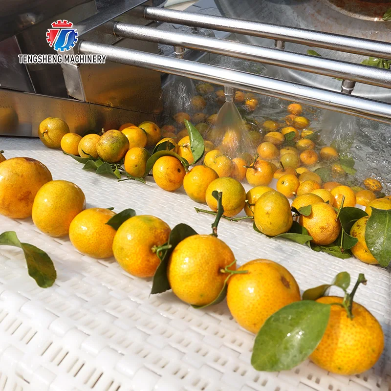 Large-scale leaf vegetables cleaning machine multifunctional fruit vegetable cleaner automatic citrus fruit washing machine
