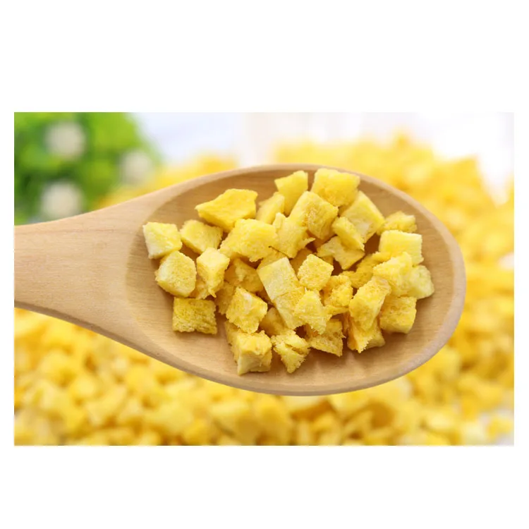 Chinese Factory Direct Supply High Quality Freeze Dried Fruit with Good Price Bulk Mango