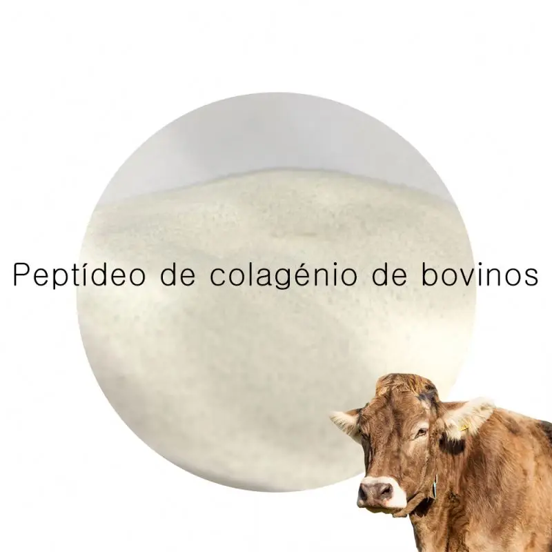 Hot Sell Hot Sell Marine Collagen Powder Peptide soluble Raw Material