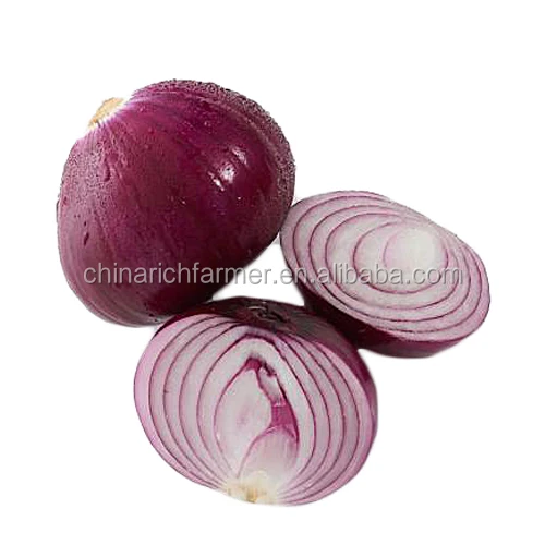 China Fresh Onion Supplier Red Onion