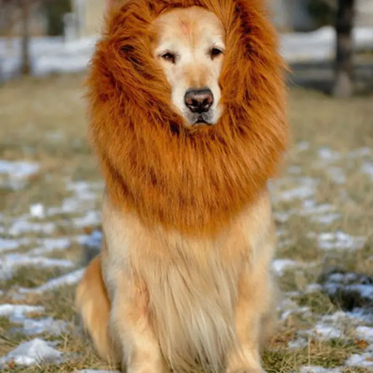 Pet Lion Head Set Dog Dog Wig Halloween Pet Supplies Mane Lion Wig Dog Wig