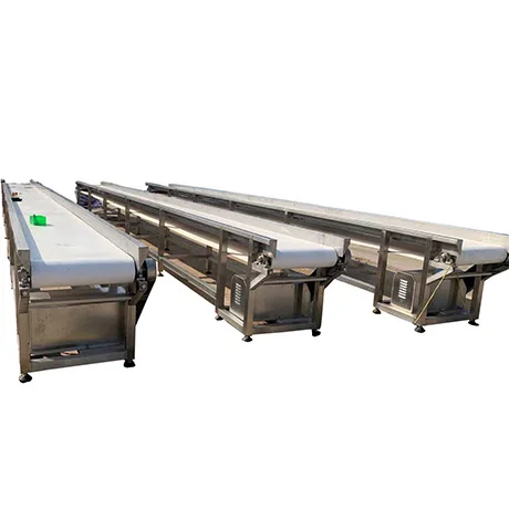 
poultry chicken slaughter conveyor 