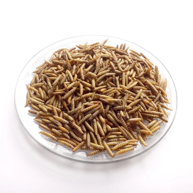 Pure Black Soldier Fly Larvae Dried Hermetia Illucens Hot Selling Feeding Grade 15KG for Poultry