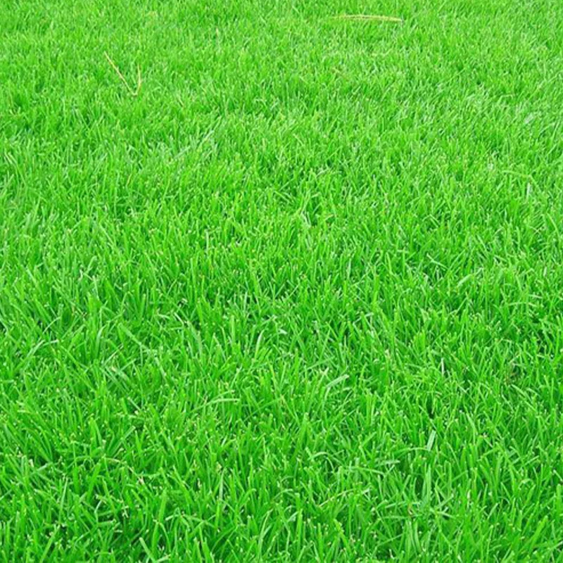 Simulation lawn carpet park lawn engineering encloses outdoor camp wedding venue fake turf artificial turf