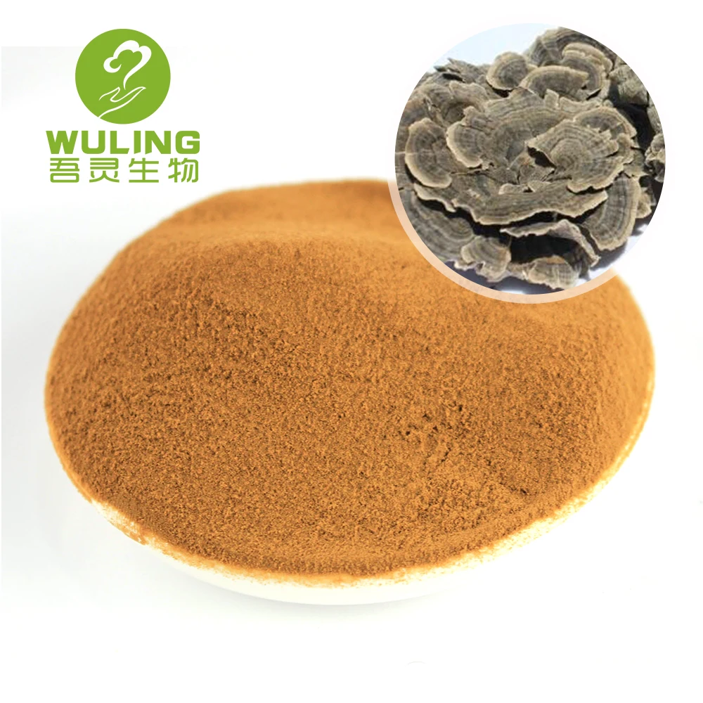 Высококачественный порошок экстракта хвоста индейки, высушенный на воздухе, бета-глюкан 50%