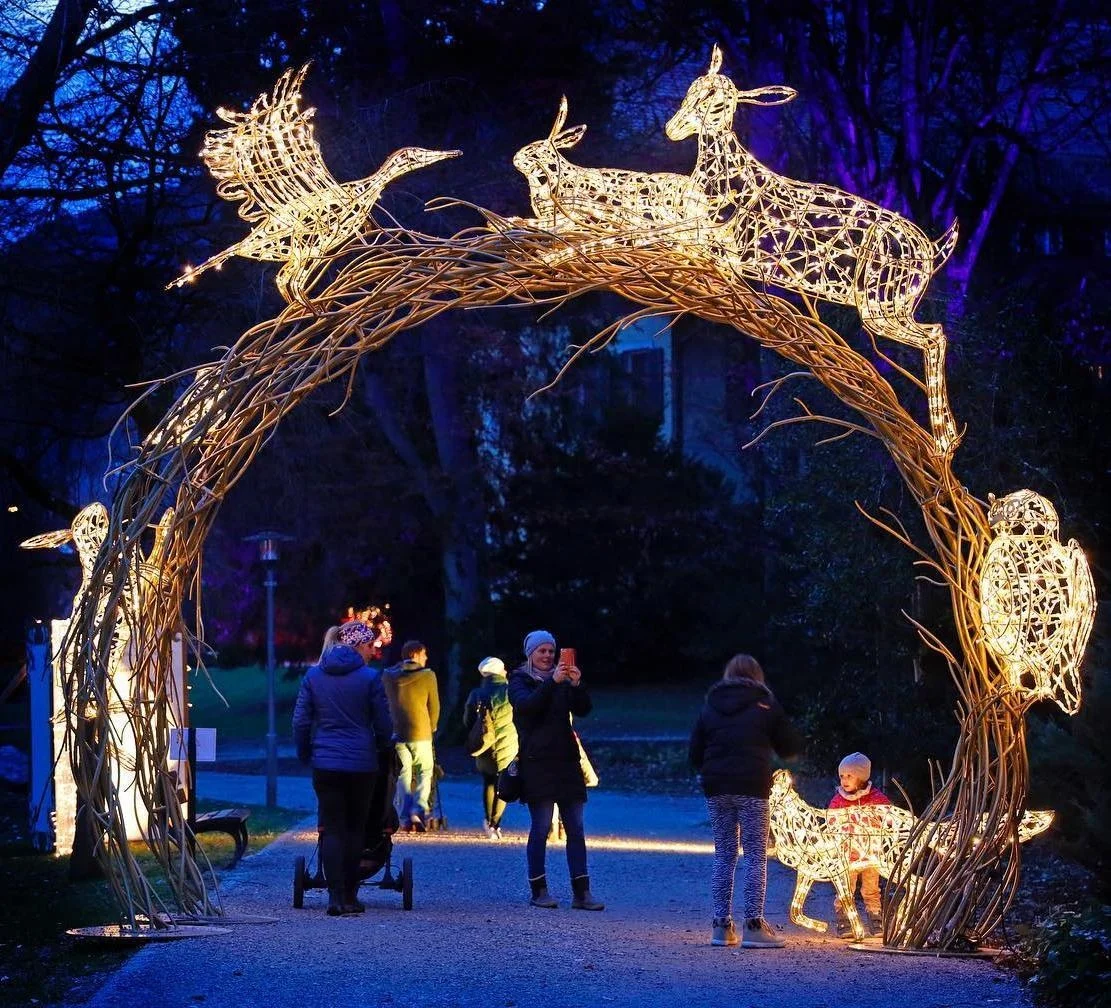 Outdoor Christmas Animated Decorations 2D 3D LED Street Motif Bear Deer Butterfly Lighted Arch For Street Zoo Park Light Show