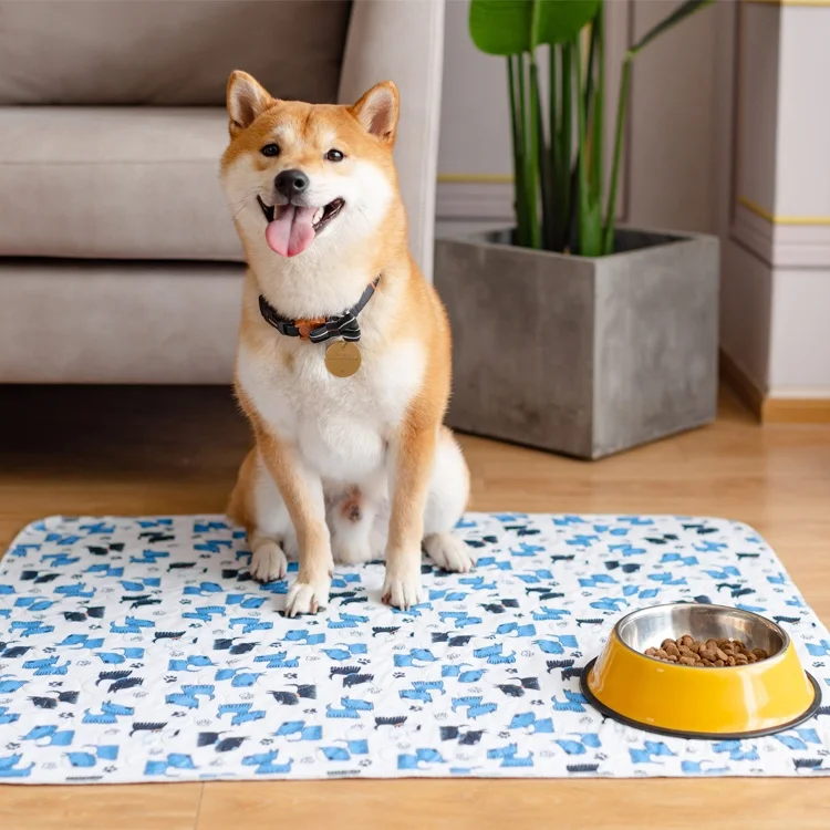 Eco-friendly Cat Dog Pet Training Pad Heavy Absorbent Urine Waterproof Printed Sublimation Pet Mat
