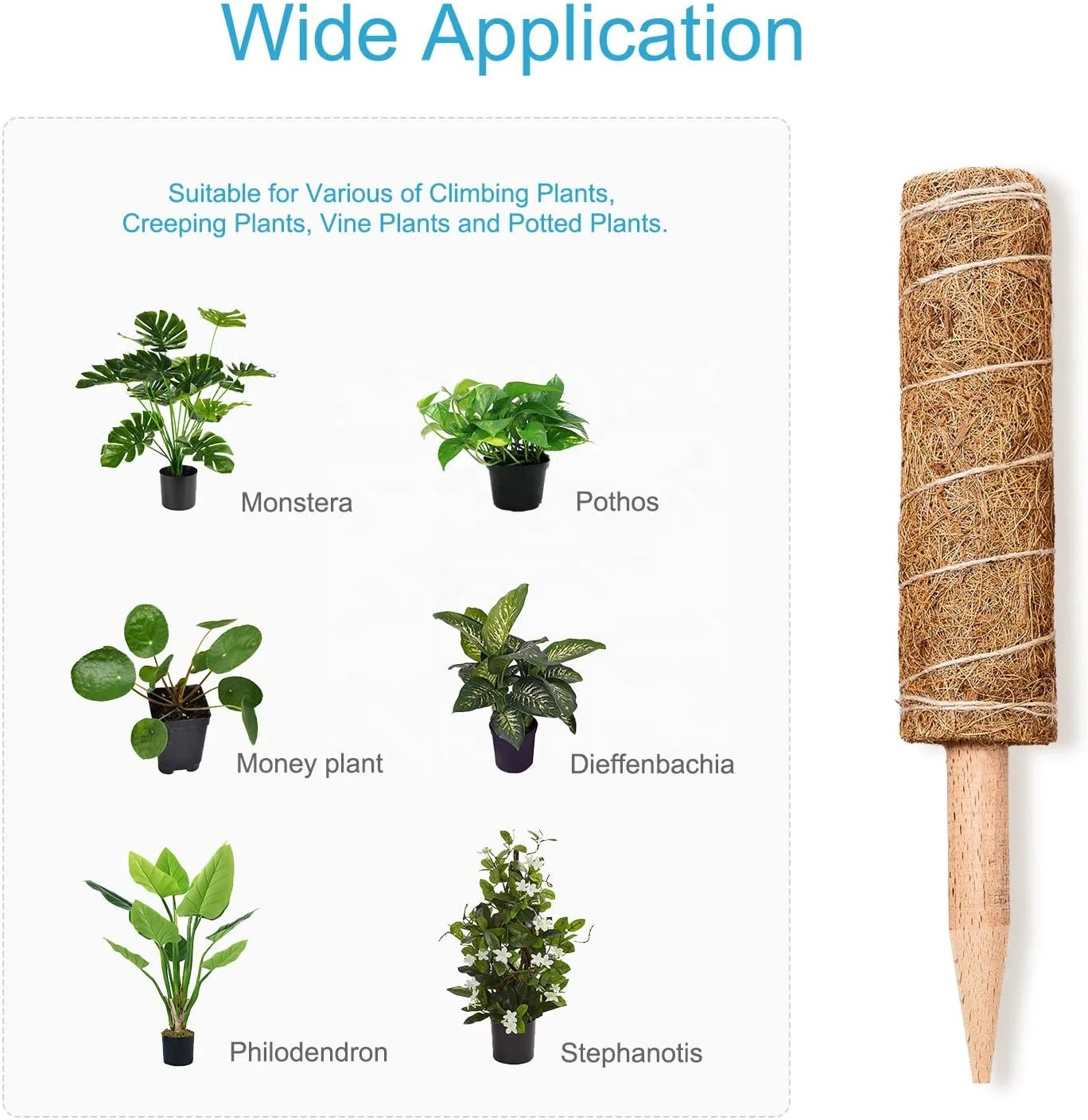 Coir Pole for Potted Plant 2 Pack  Plant Stake Support Gardening Tool Set and Garden Ties Coir Moss Stick for Plant Support