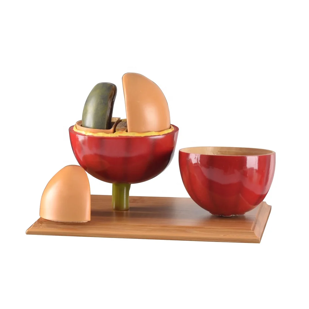 Кофейные инструменты CAFEMASY модель кофейных зерен для кафе магазина набор с цветной коробкой дисплей кофейни