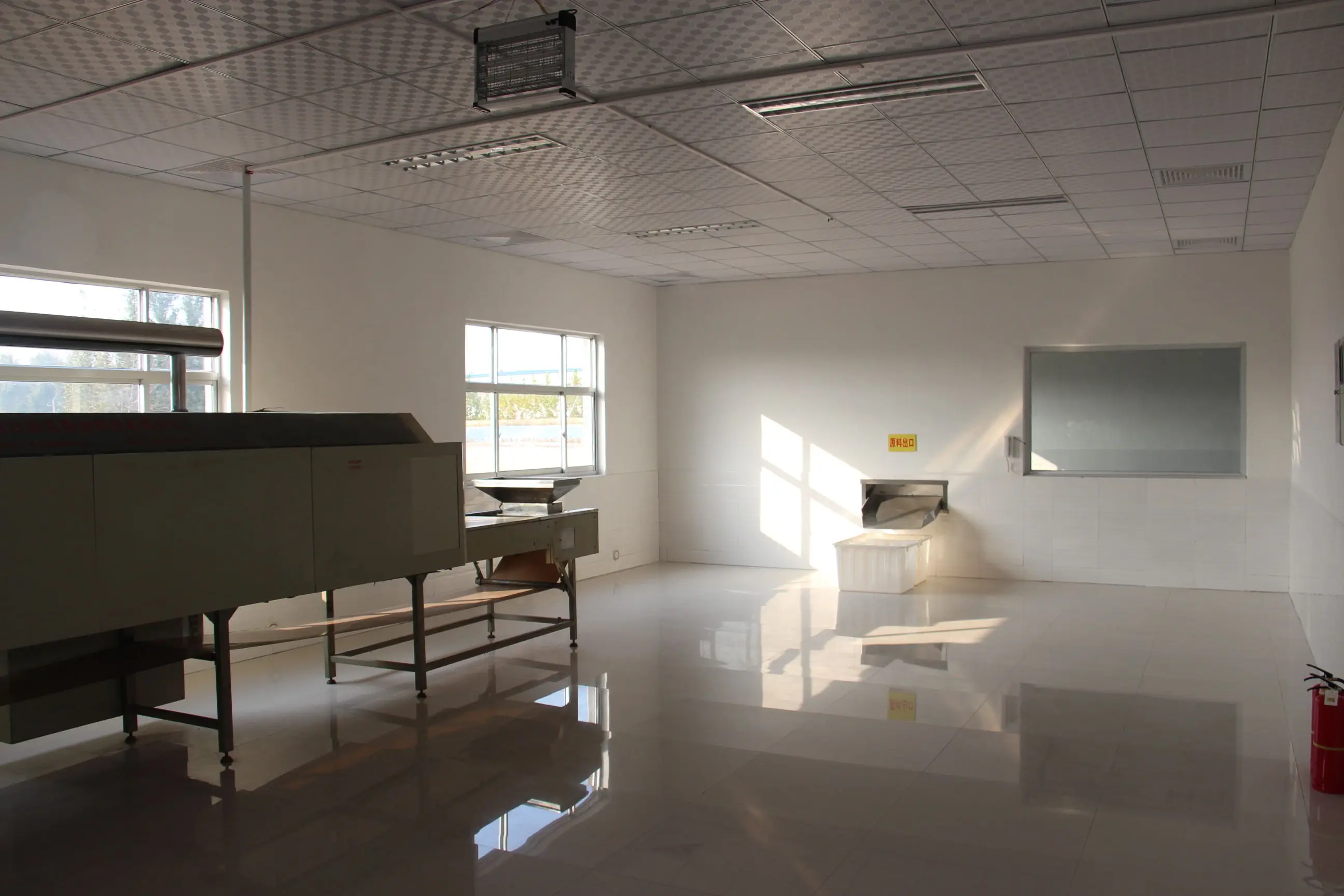 Лидер продаж, чистый Высокий Белок, оптовая продажа, замороженные колючки