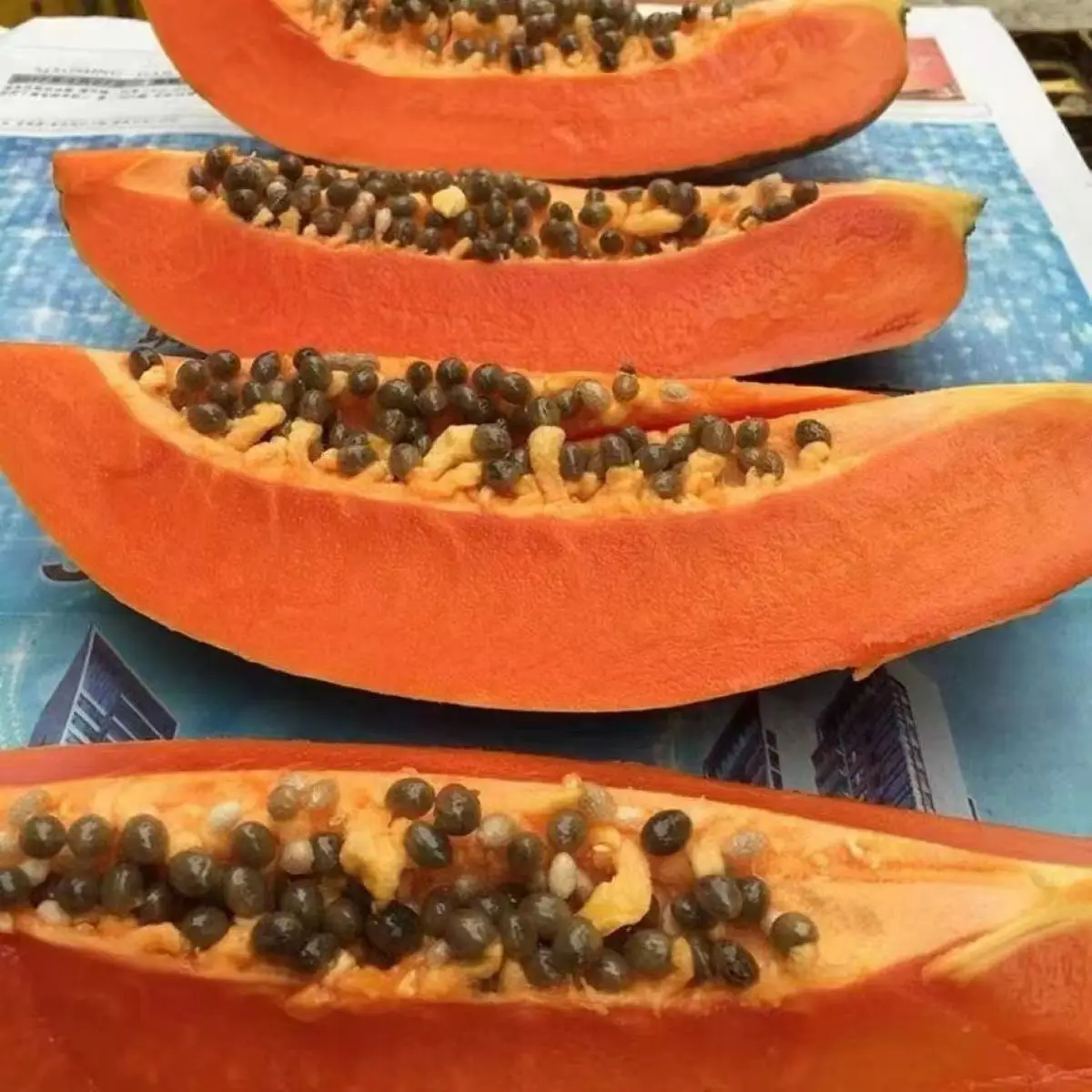 Papaya Seeds