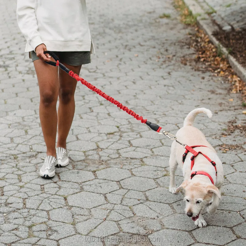 Heavy Duty Nylon Rope Dog Leash dog leash swivel carabiner For Medium And Large Dogs