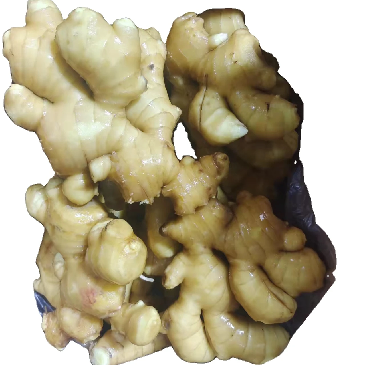 Best Price China Export Ginger Fresh Ginger