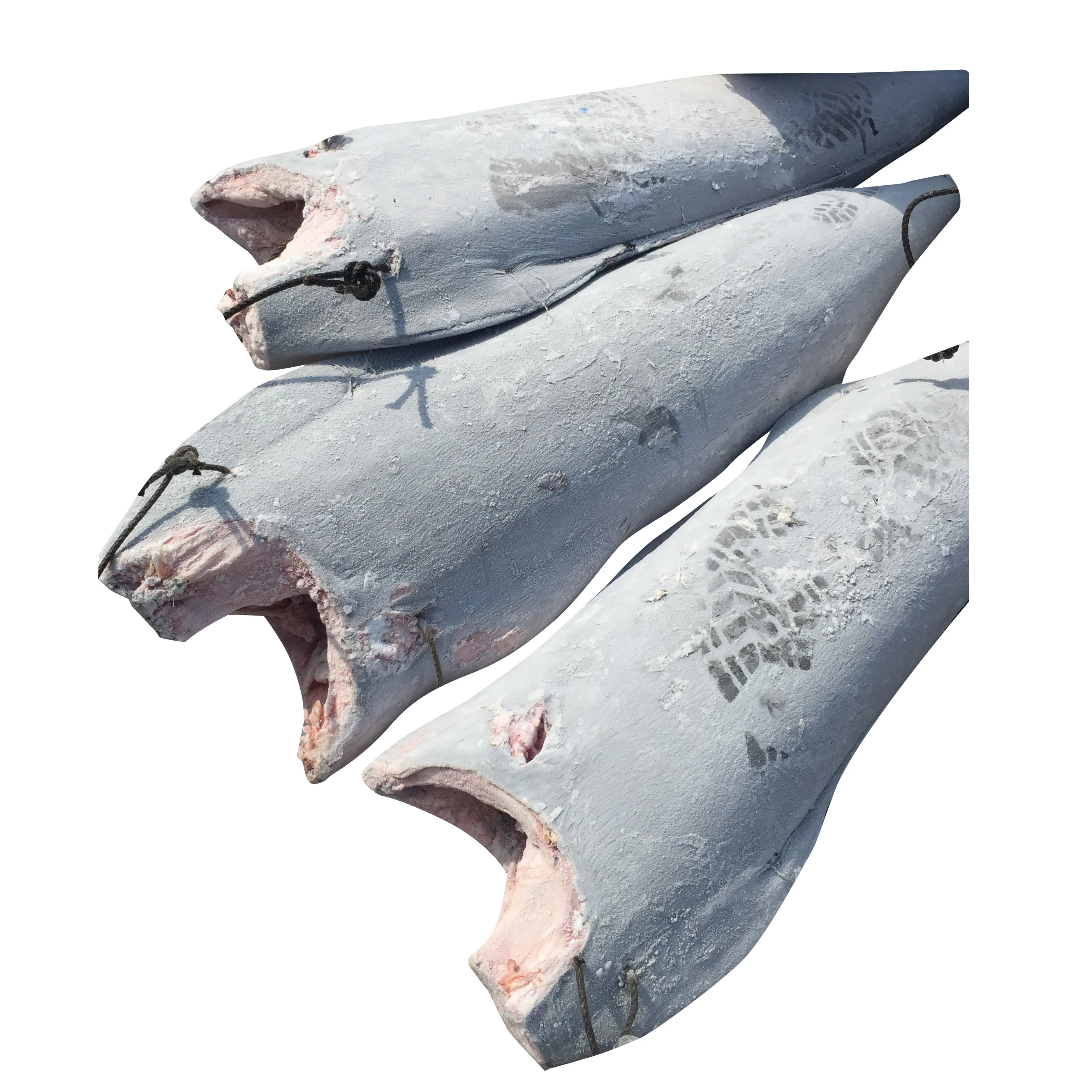 
2020 Wholesale IQF frozen Blue Marlin for fresh seafood 