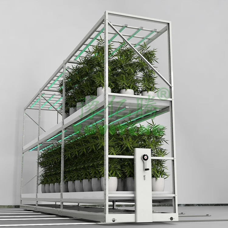 Hydroponic Mobile Growing Rack For Agricultural Greenhouse