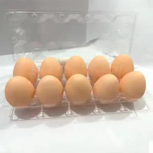 Factory Wholesale Creative Relief Stress Simulation TPR Egg Vent Toys