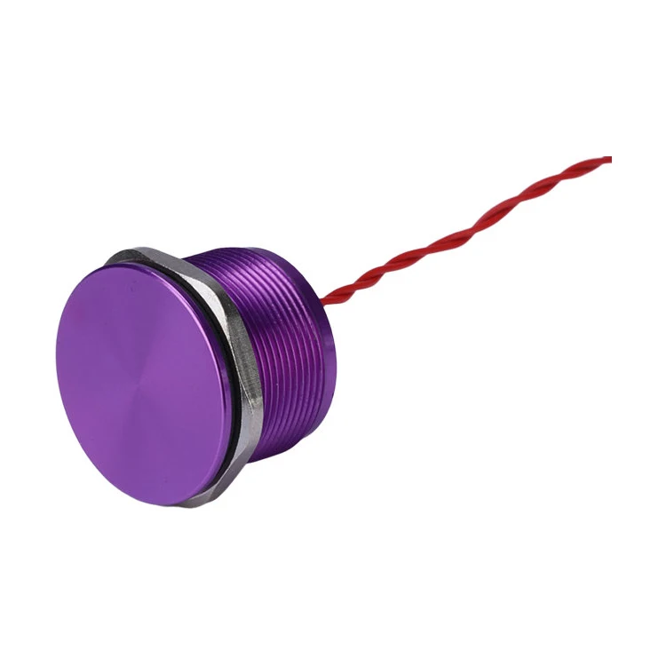 Waterproof IP68 normally open flat head 25mm 24v stainless steel metal piezo momentary switch with wire lead
