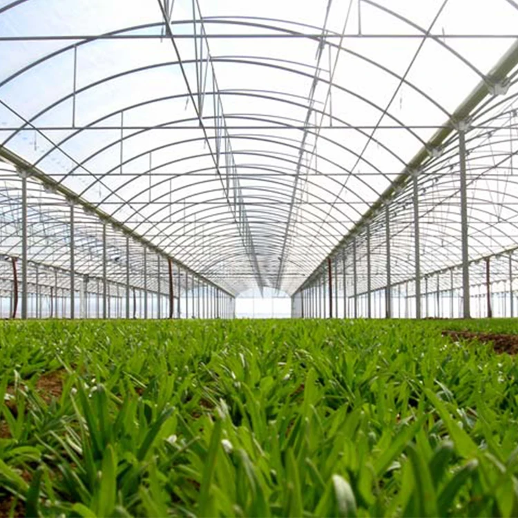 MYXL low cost commercial plastic film agricultural greenhouse manufacturer for sale