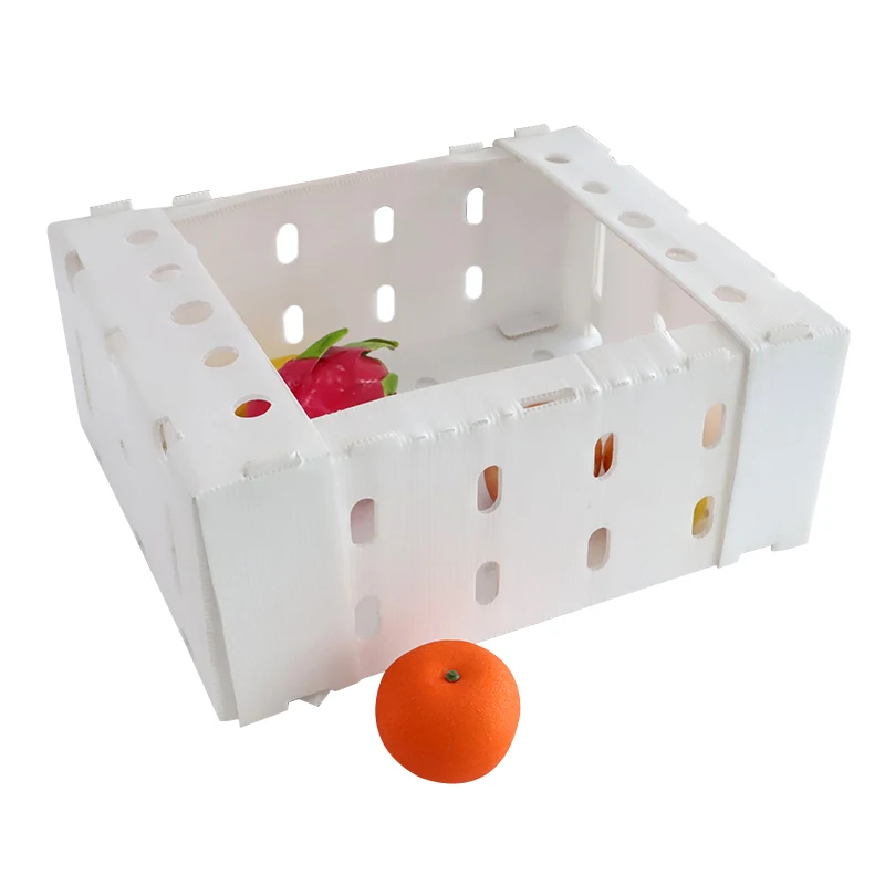 Factory PP correx board pp corrugated box delivery corflute plastic box