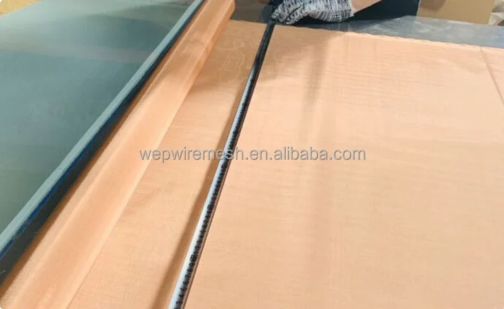 High Quality Brass Wire/Copper Wire Mesh/Phosphor Bronze Wire Mesh