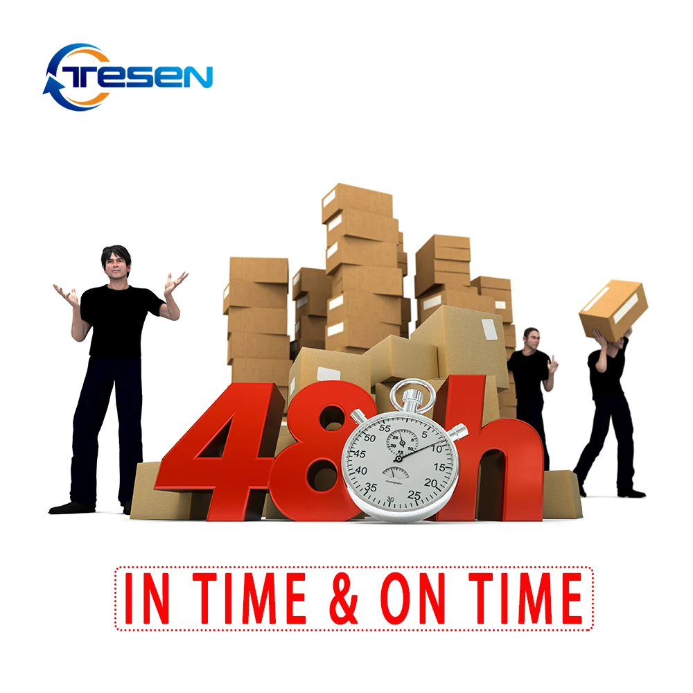 Top Cheapest Shipping agents From China To Usa Canada Europe lcl sea  and truck professional Logistics